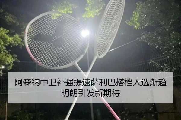 阿森纳中卫补强提速萨利巴搭档人选渐趋明朗引发新期待