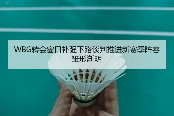 WBG转会窗口补强下路谈判推进新赛季阵容雏形渐明